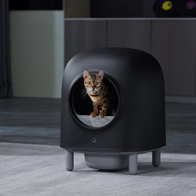 Litter Boxes & Enclosures Furniture