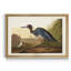 Blue Crane - reproduction d'art sur toile-723518032-723518039