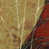 Wrapped Canvas selected