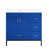 Blue is out of stock selected
