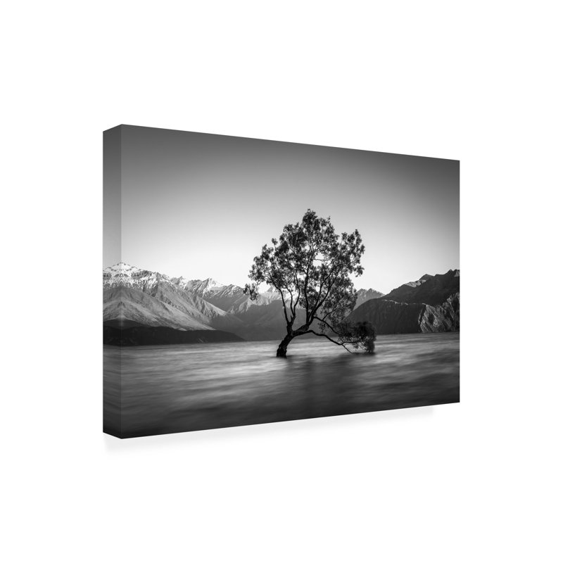 Œuvre sur toile, bol Christoph Schaarschmidt Wanaka, H 12 po x l 19 po