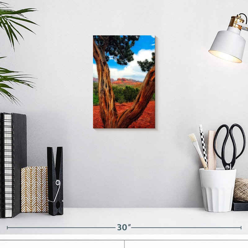 Aime Desert Reds, 12" H x 8" W
