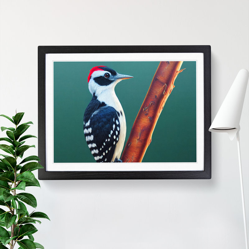 Select Woodpecker Bird - Framed Print, Black, 25cm H x 34cm W x 2cm D
