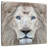 Brampt Exotic Lion-109369289