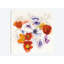 Fleurs spring, impression sur toile tendue-74875629-74875627-19754321