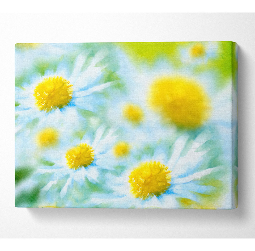 Soft Hue Of White Daisies - Kunstdrucke auf Leinwand