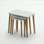 Nyda Nesting Tables-1209017111