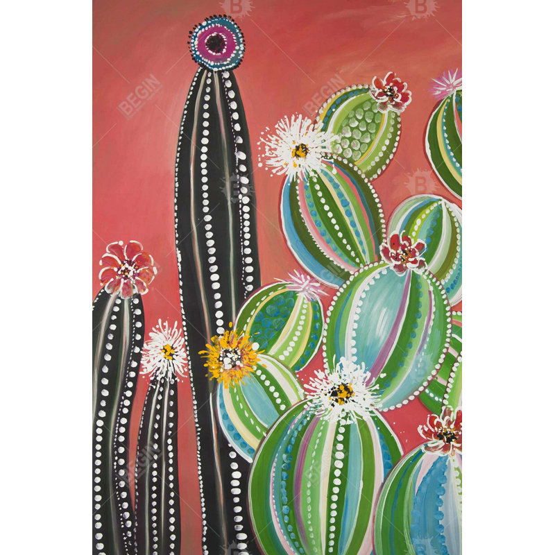" Rainbow Cactus "