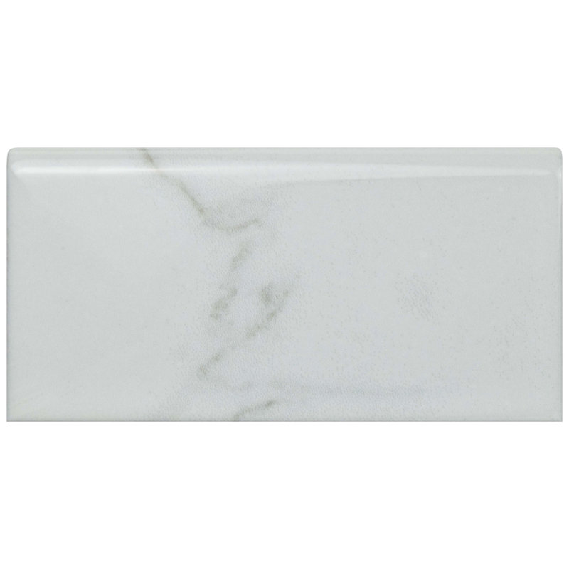 Classico Carrara 6" x 3" Glossy Ceramic Bullnose Tile Trim in White/Gray