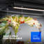 Naomi Grow Light