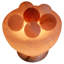 Lampe spa sel de l'Himalaya 10 lb