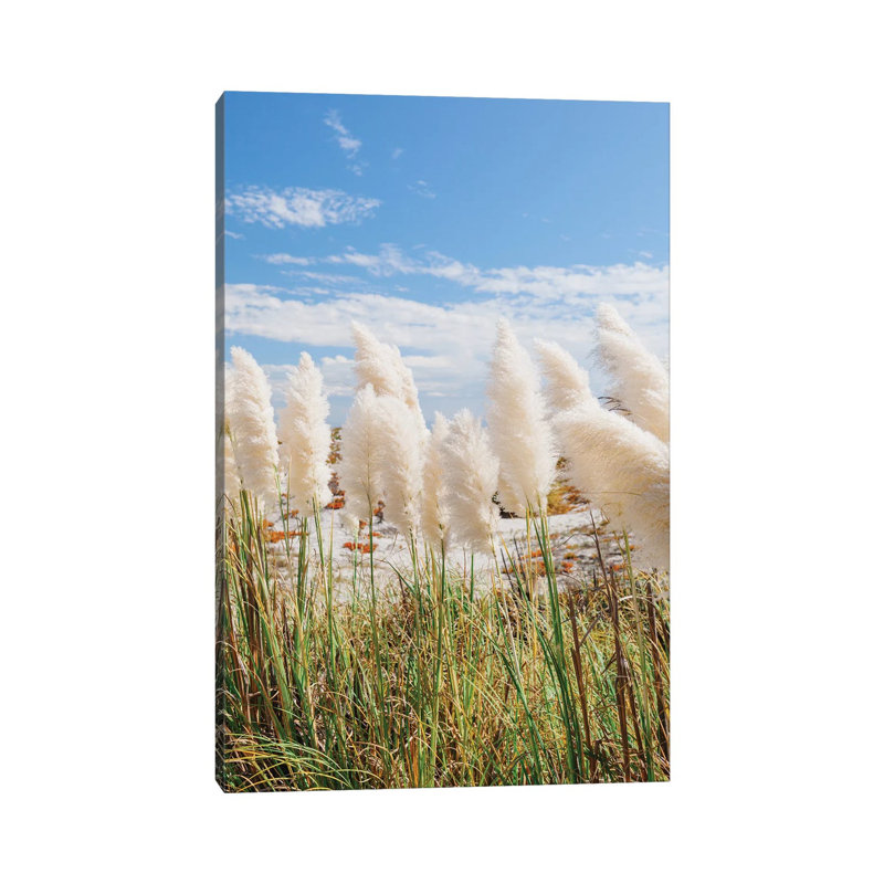 California Beach Day III by Bethany Young - Print on Canvas, 152.4cm H x 101.6cm W x 3.81cm D, Wrapped Canvas