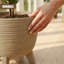 Pot Planter-1997531617-1997531619