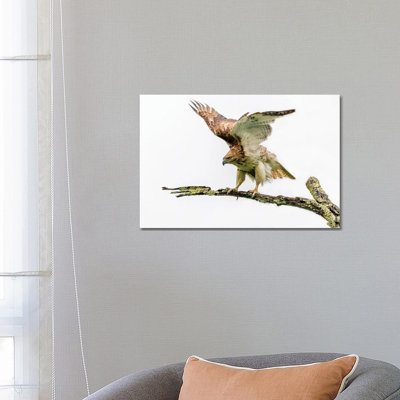 Stretch 1 Piece Wall Art on Canvas