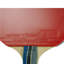 Raquette de 1000 Timo Boll