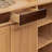 Modern simple storage shoe cabinet