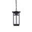 Luminaire suspendu d'extérieur 6,5 pouces Nikole