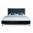 Lenneke Upholstered Platform Bed-597534156-597534159