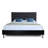 Lenneke Upholstered Platform Bed-597534159-597534158