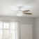Champlain 52'' Ceiling Fan with LED Lights