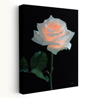 Rose clair - fleur noire, art gris