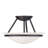 Glass Flush Mount-1041320721