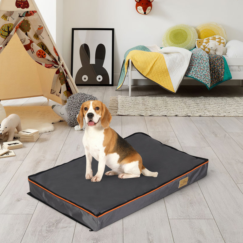 Lit pour chien Pillow, H 3,1 po x l 31,4 po x P 19,6 po