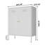 Alleyne Metal Accent Cabinet-1175874901