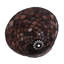 Dome Lamp Shade