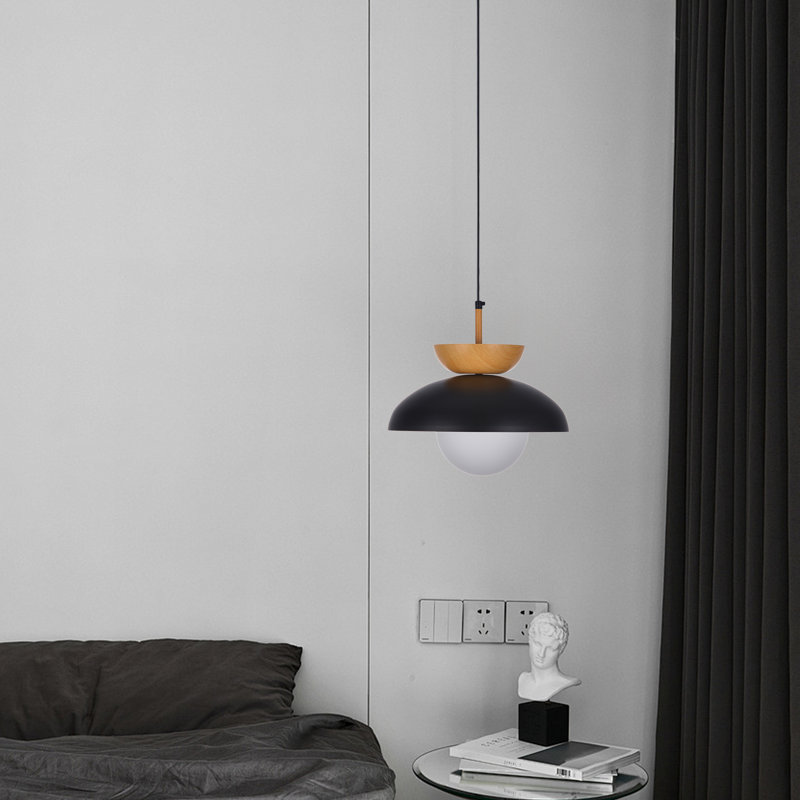 Luminaire suspendu noir à 1 lumière Makrina, Noir