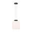 Vetro 1 - Light LED Pendant-1863611613