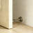 Magnetic Brass Door Kick Stop-99225824
