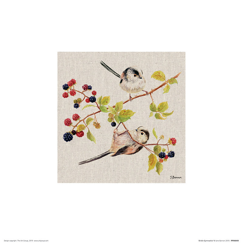Birdie Gymnastics by Jane Bannon - No Frame Painting