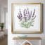 Lavande botanique II - peinture encadrée-481411740-481411723