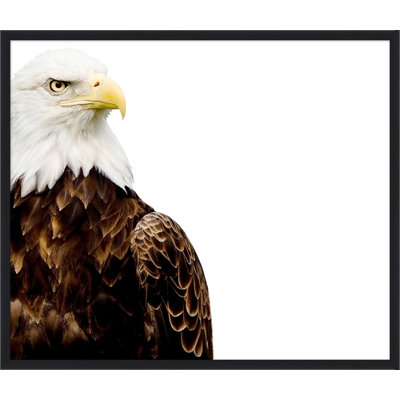 Eagle's Watch Print by Thom Filicia