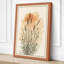 Ornamental Grass Study Botanical - Wrapped Canvas-5136457-5136499