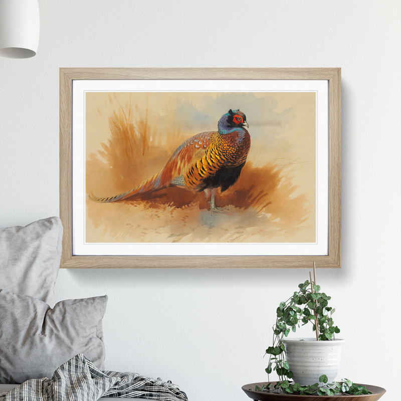 Study of a Cock by Archibald Thorburn - Picture Frame Painting, Oak Framed, 48cm H x 65cm W x 2cm D