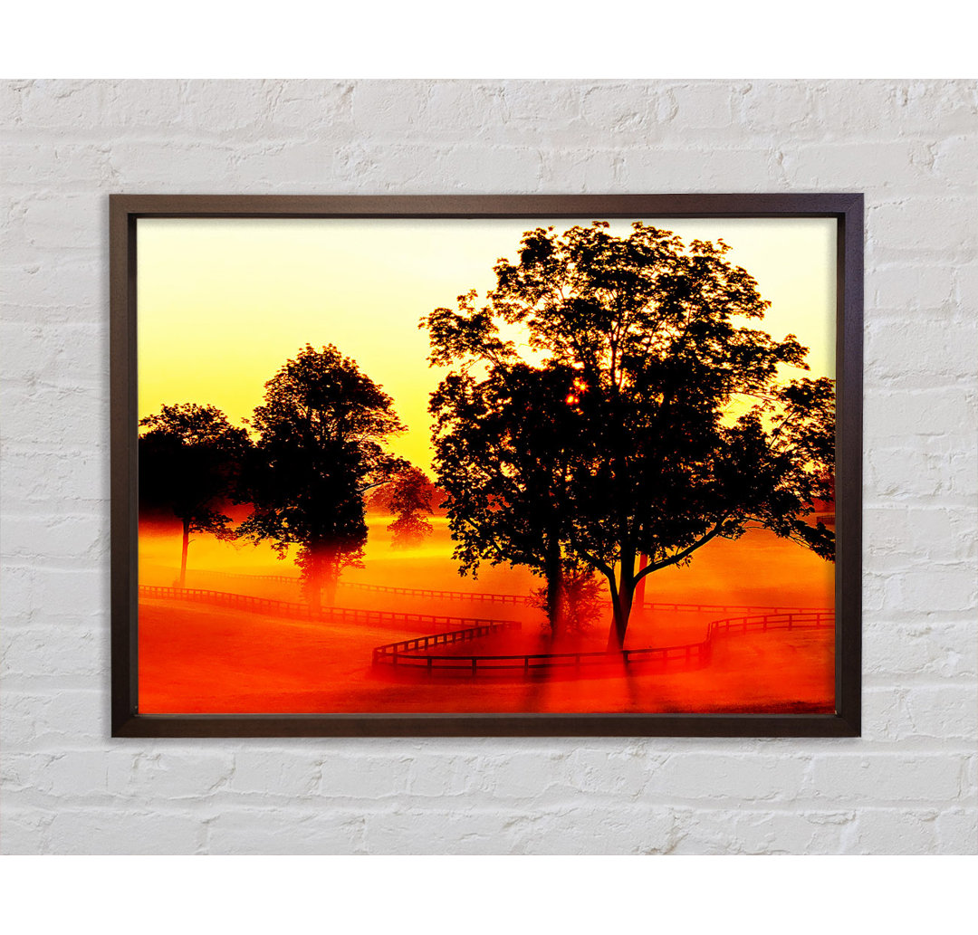 Orange Treeline Mist - Einzelner Bilderrahmen Kunstdrucke auf Leinwand