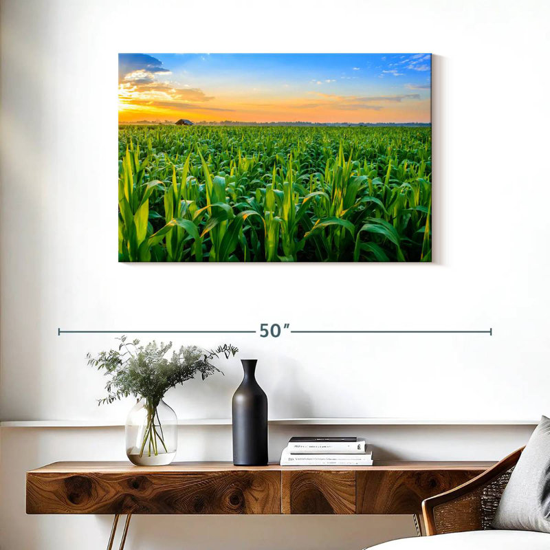 Alvord Corn Field Sunrise