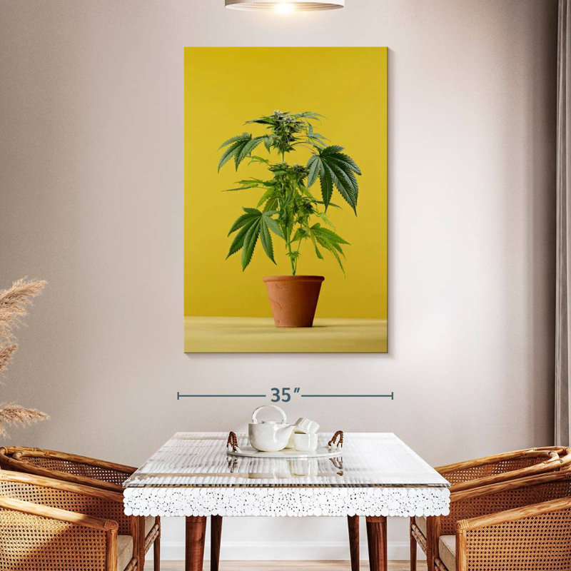 Marijuana en pot, H 51 po x l 34 po
