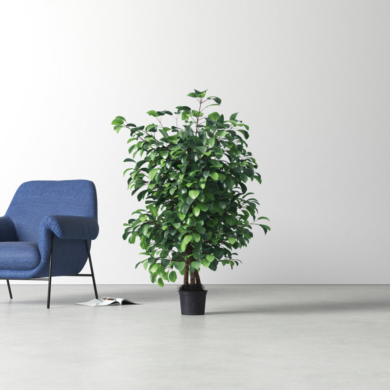 48'' Faux Tree in Pot