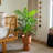 Artificial Areca Palm Tree-324822244