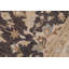 Tapis gris floral en laine noué à la main 8 pi x 9 pi 9 po Floral