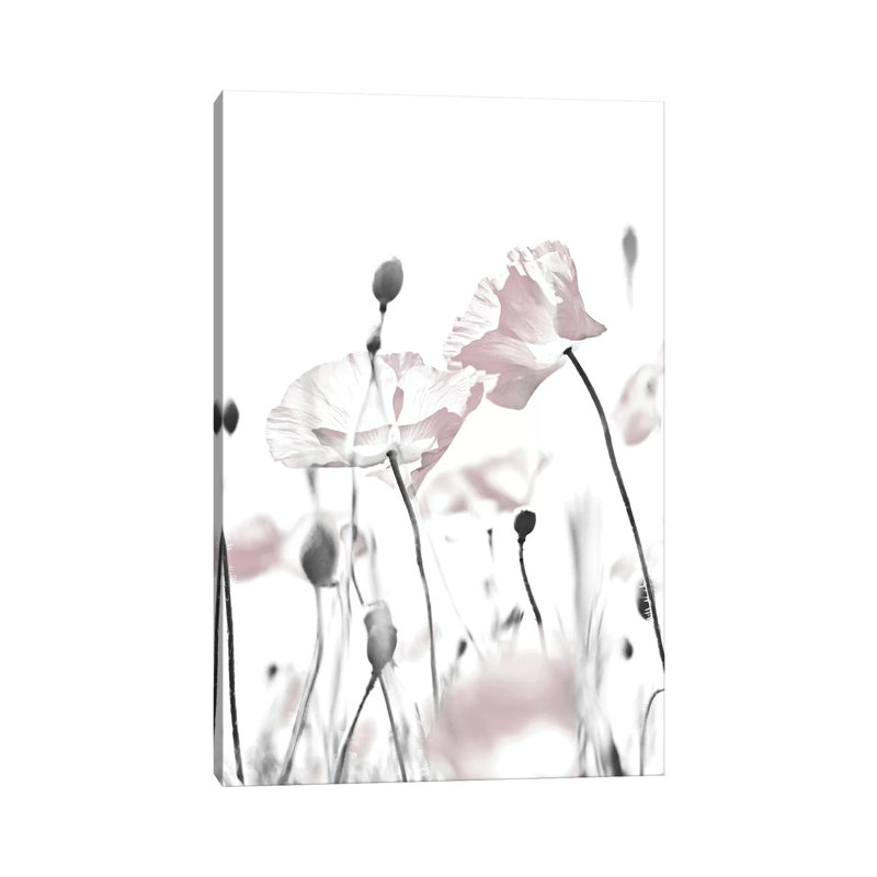 Poppy White I 1 Piece Wrapped Canvas Painting, 30.48 cm H x 45.72 cm W