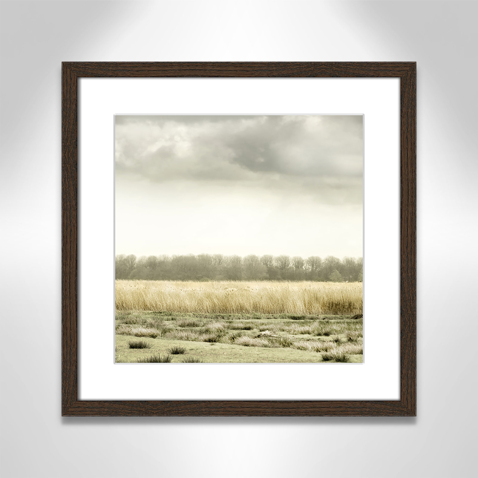 Henri "Meadowland" Print by Danita Delimont, 17" H x 17" W , Walnut Wood Grain