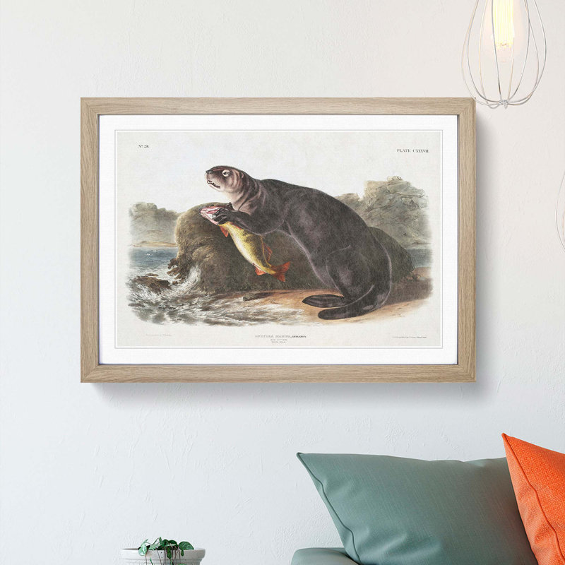 Sea Otter by J.W. Audubon - Picture Frame Painting Print, 36cm H x 48cm W x 2cm D, Oak Framed