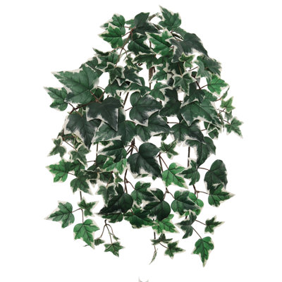 Lierre panaché avec 117 feuilles de soie - paquet de 2