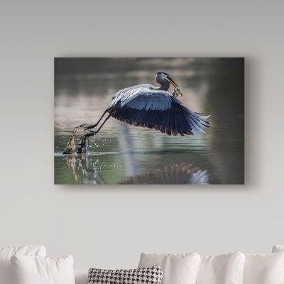 Badgley 'Fishing Heron' Photographic Print on Wrapped Canvas