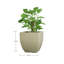 Jardinière écologique d'intérieur / extérieur Vinesha ECOBO-1197920228-1203563268-1203563269
