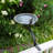 Scallop Shell Birdbath with Rail Mount Bracket